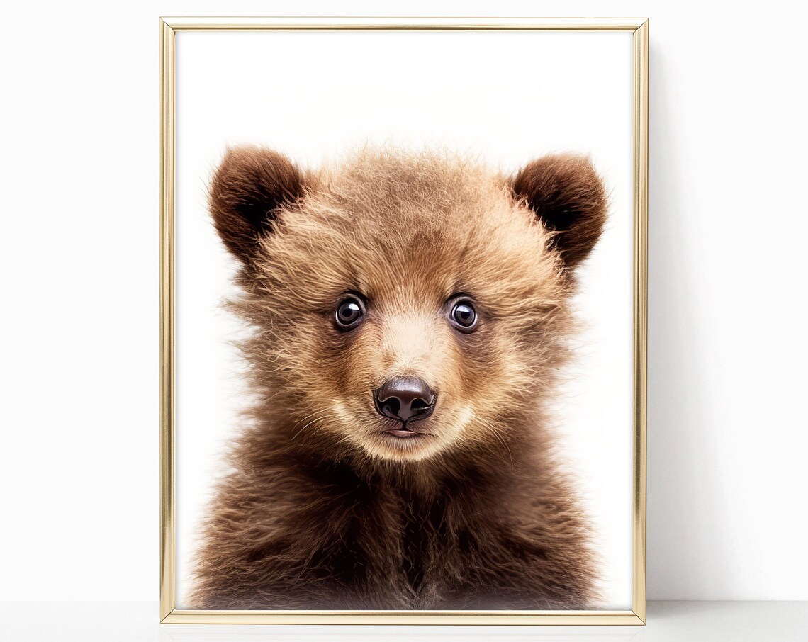 Baby Bear Cub Nursery Portrait Cute Soft Brown Fur Art Print