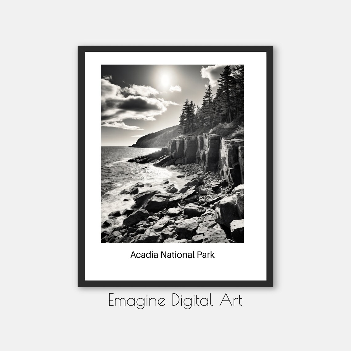 Acadia National Park Black White Maine Rocky Coast Photo Wall Art