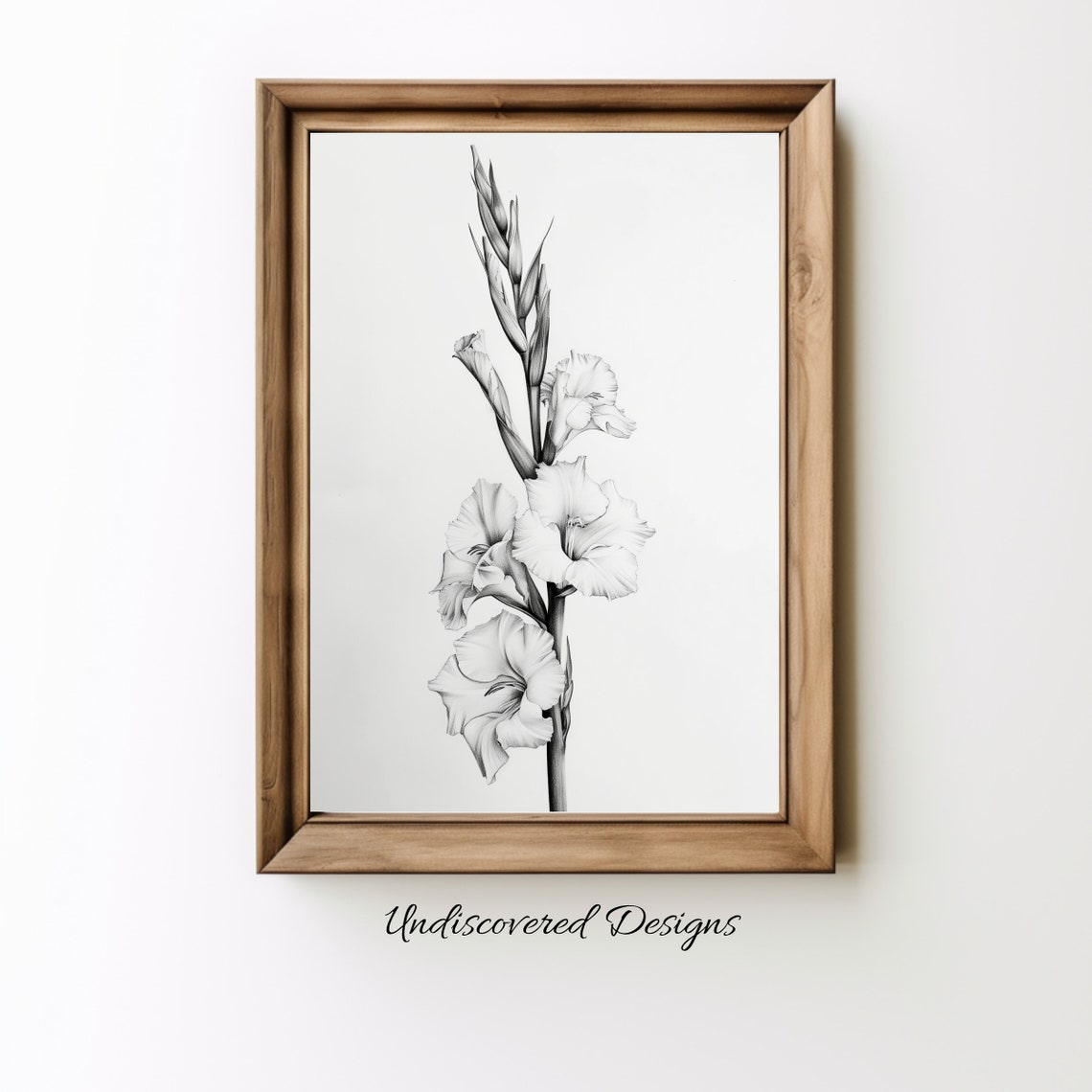 Gladiola Botanical Sketch Art Printout Wall Prints Print Vintage Pencil Drawing