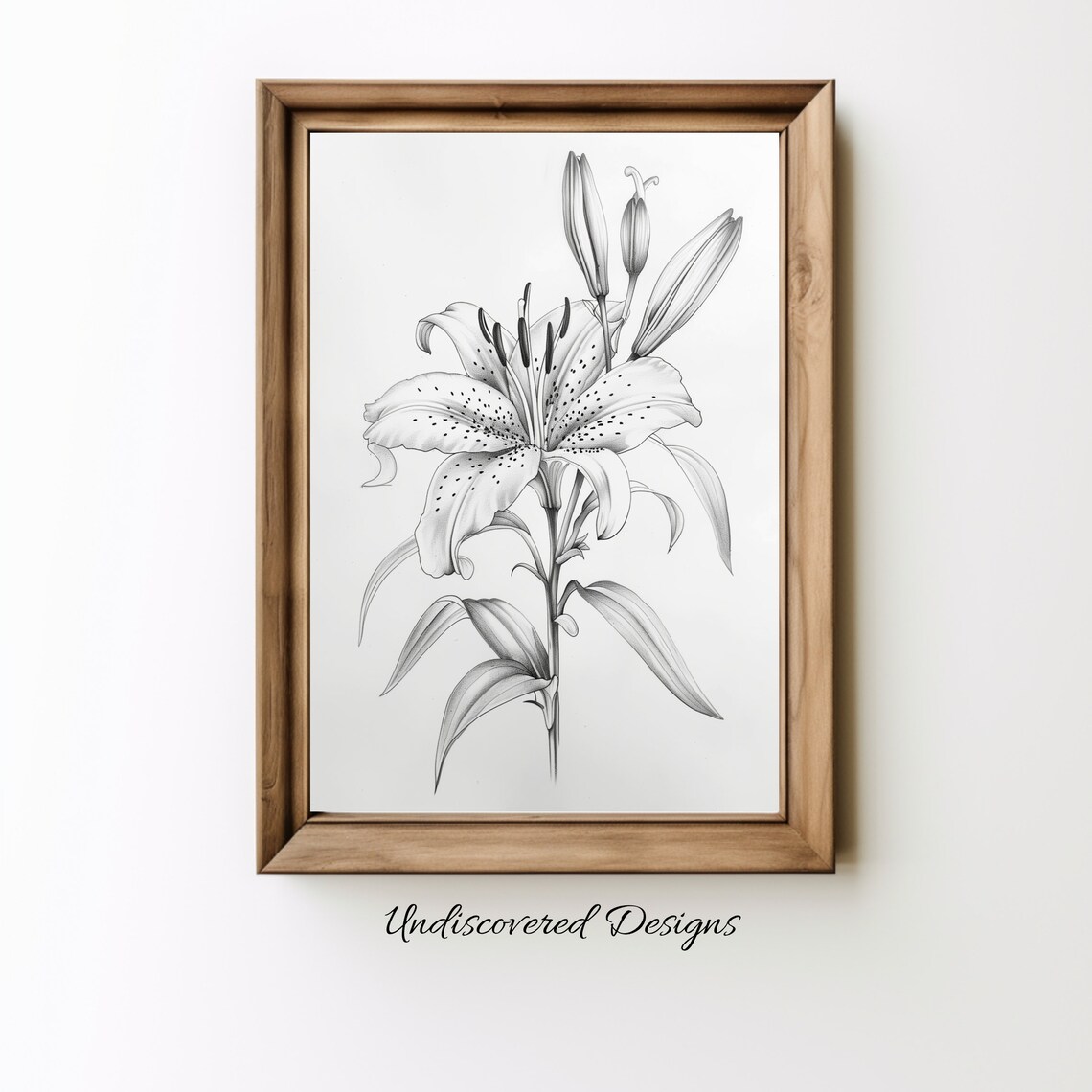 White Lily Bloom Vintage Pencil Sketch Botanical Flower Art Poster