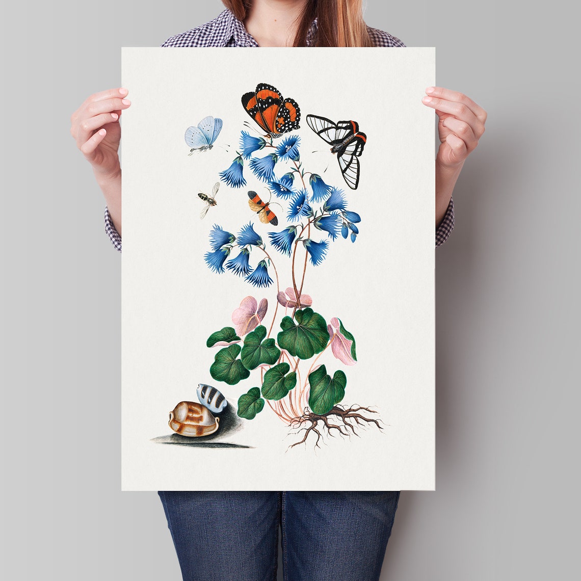 Vintage Botanical Blue Bellflower Butterfly Natural History Art Poster - Image 4