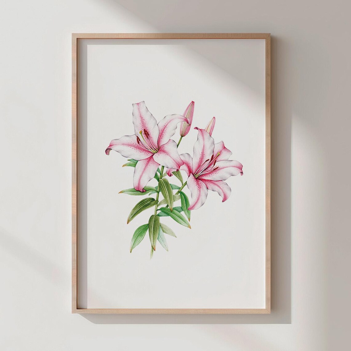Pink Lily Watercolor Botanical Flower Illustration Elegant Wall Art