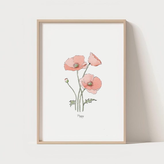 Pink Poppy Watercolor Minimalist Botanical Illustration Wall Art
