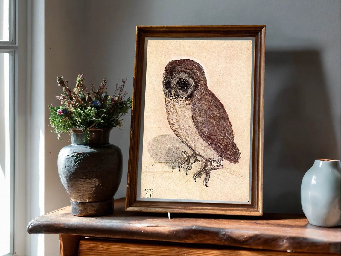 Albrecht Durer Little Owl 1508 Drawing Renaissance Vintage Print - Image 2