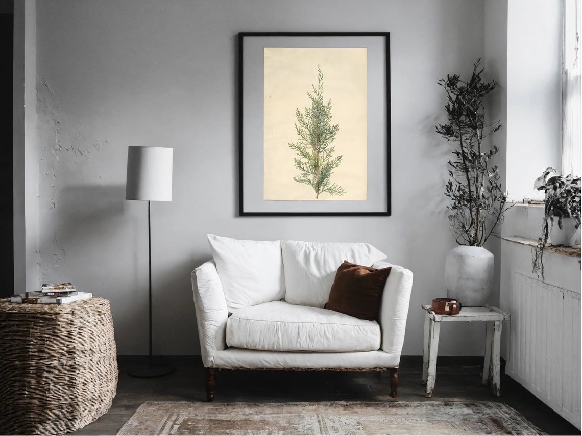 Vintage Cypress Sprig Botanical Study Cream Herbarium Art Poster - Image 4