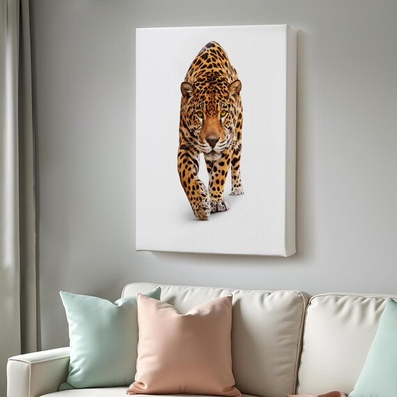 Leopard Walking Forward White Background Realistic Big Cat Wildlife Wall Art Print