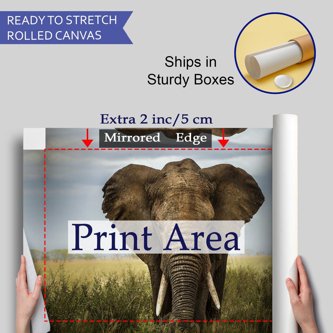 Lone Elephant Bull Facing Camera In Tall Grass Savanna Photo Poster - Image 4