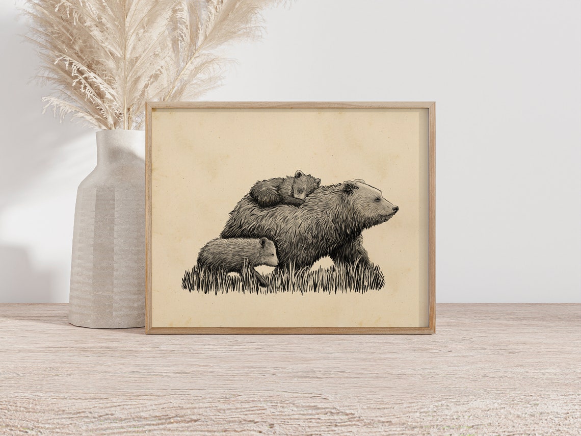 Mother Bear Walking with Two Cubs Pen and Ink Illustration Poster - Image 2