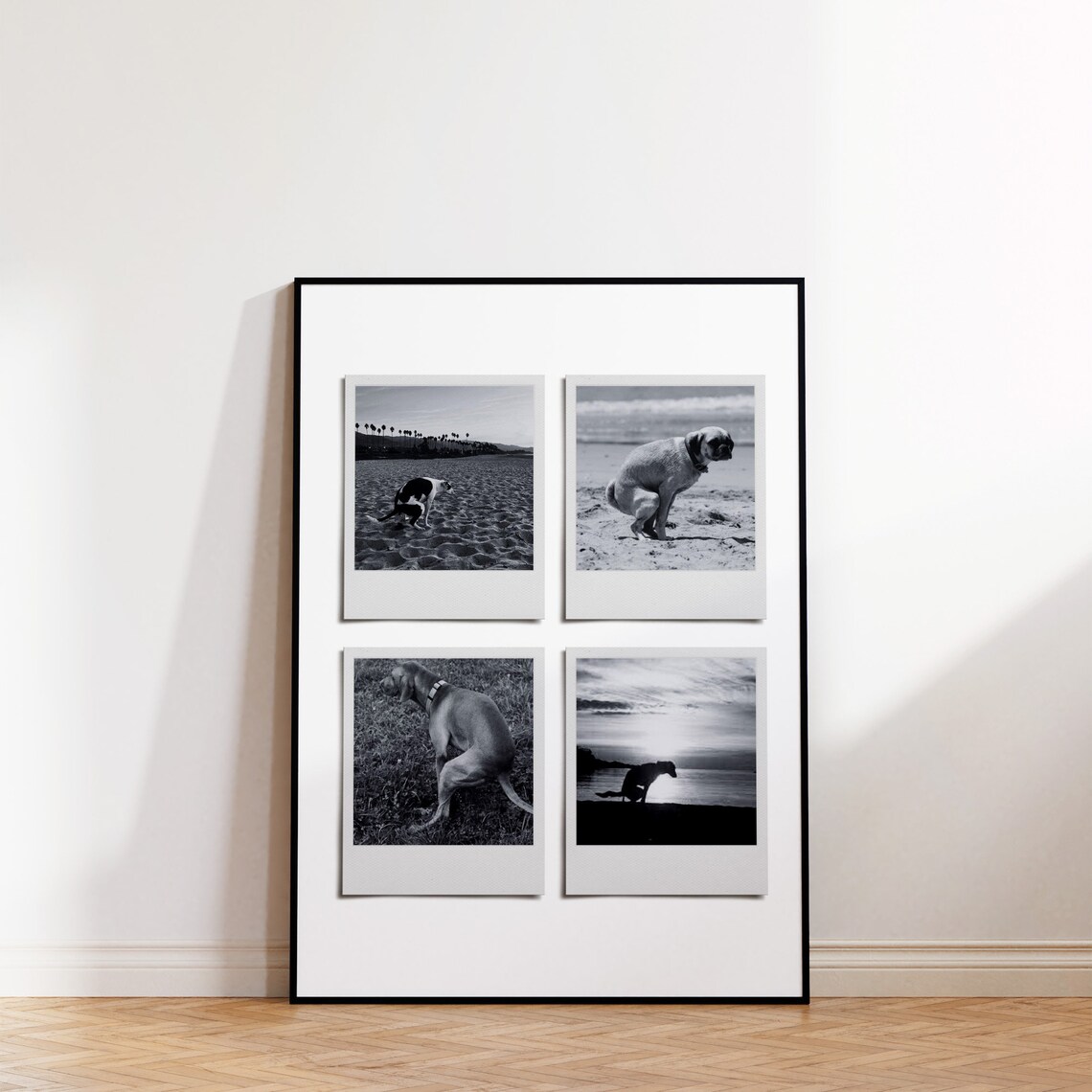 Funny Dogs Polaroid Collage Bathroom Humor Black White Poster