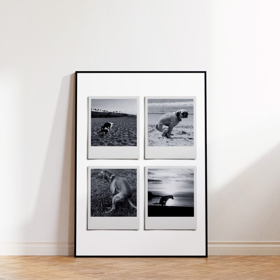 Funny Dog Pooping Polaroid Photo Collage Humorous Bathroom Wall Art Canva Template