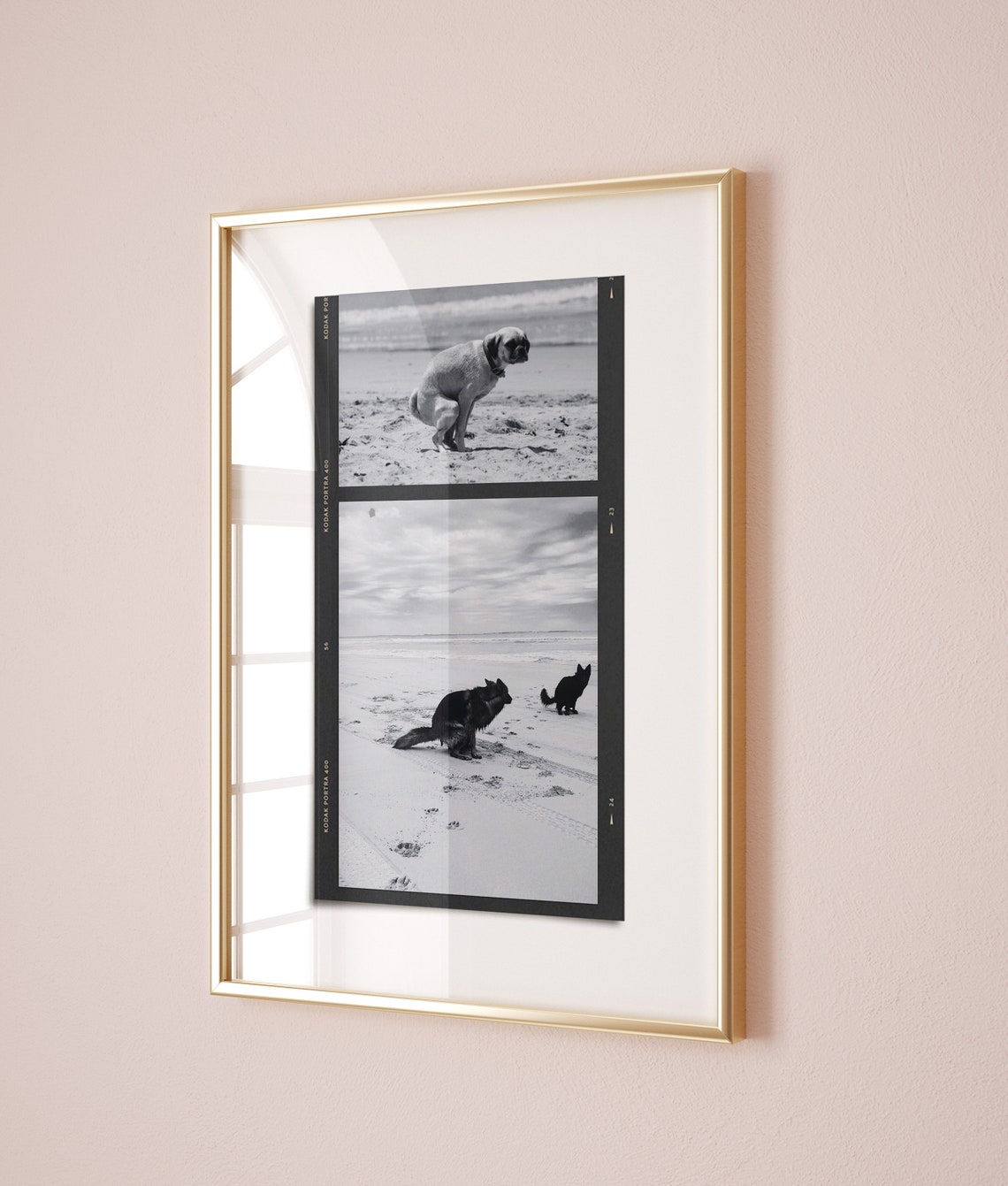 Funny Dog Pooping Film Collage Art Poster Bathroom Humor Decor - Image 2