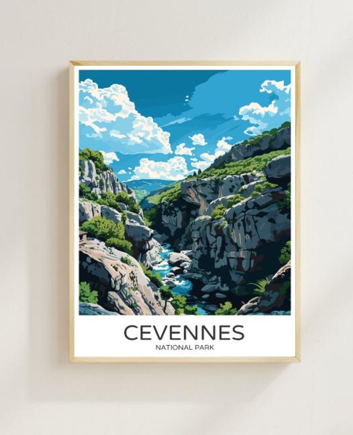 Cevennes National Park France Poster Rocky Gorge And River View