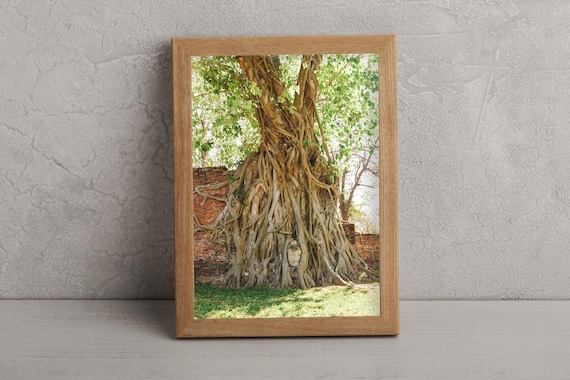 Ayutthaya Famous Buddha Thailand Street Photography Wall Art Gift Bangkok Postcard Travel