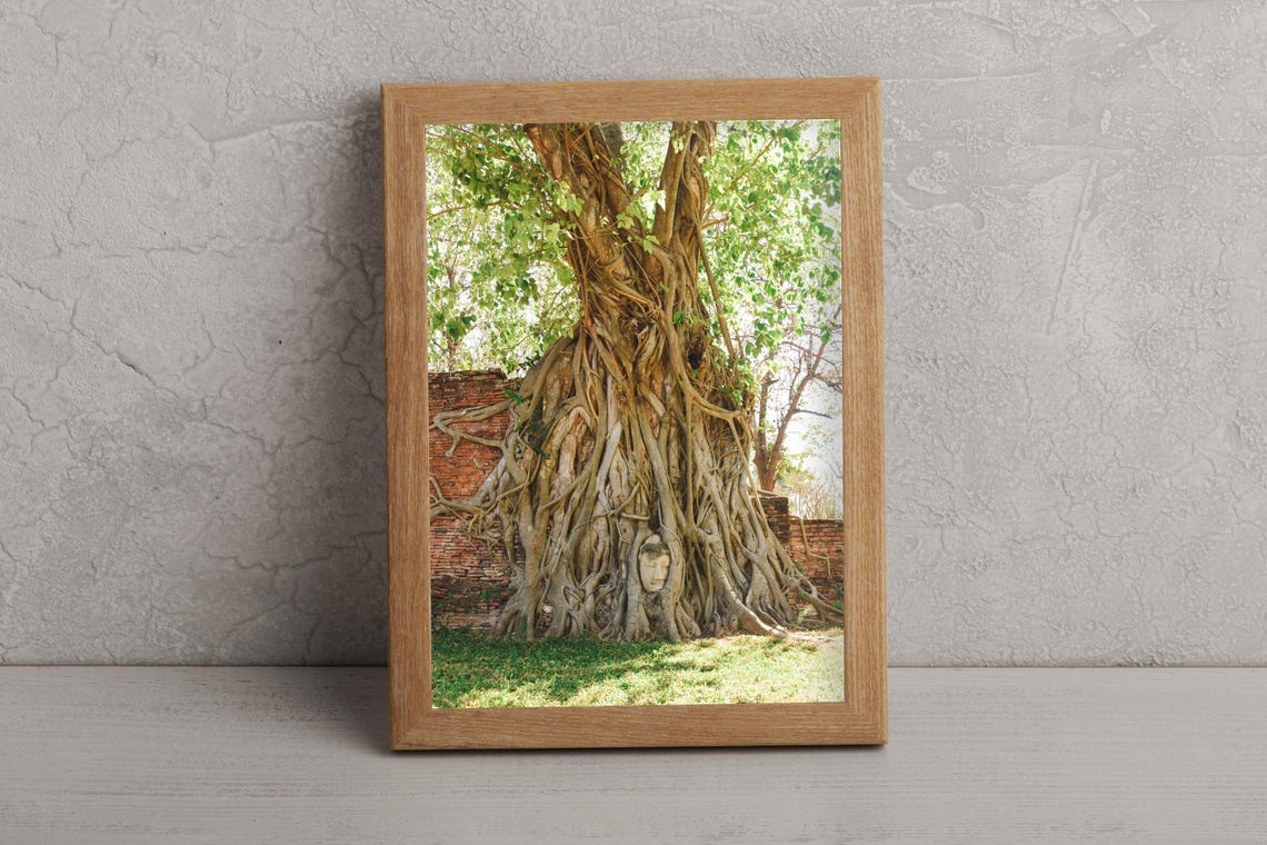 Ayutthaya Buddha Head Entwined In Banyan Tree Roots Thailand Poster