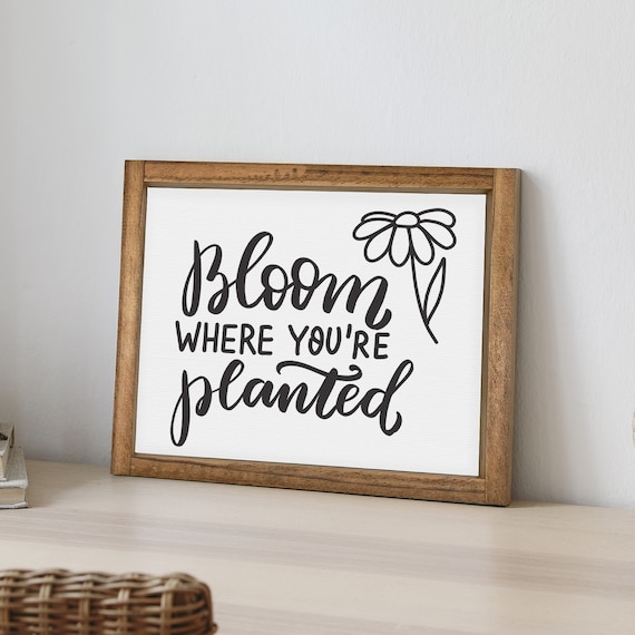 Bloom Where You Are Planted Daisy Inspirational Quote Wood Frame Poster