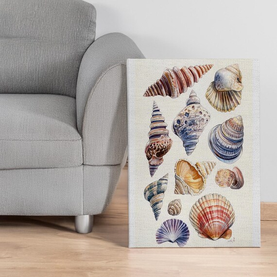 Seashell Collection Coastal Beach Decor Vintage Shell Poster