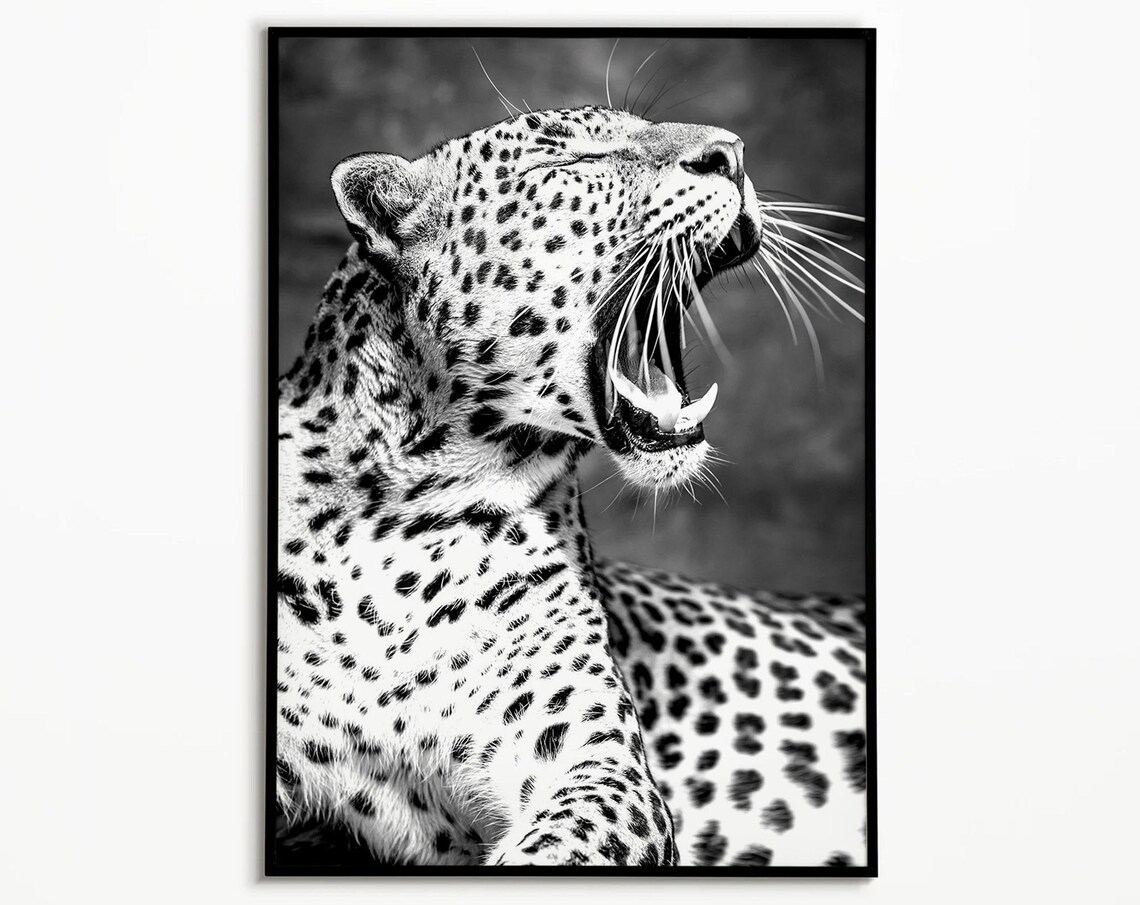 Yawning Leopard Close Up Black and White Wildlife Photo Poster