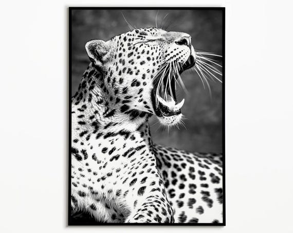 Leopard Print Animal Print Leopard Art Wild Animal Print Fashion Print Jungle Print Dorm Room Decor Black And White Art