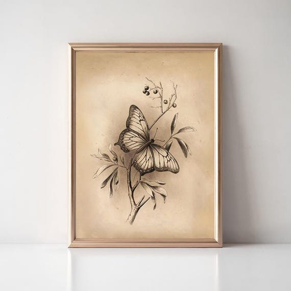 Vintage Butterfly Sketch Print Antique Nature Wall Art Cottagecore Neutral Decor Botanical Insect Print Rustic Home Art Nursery Print