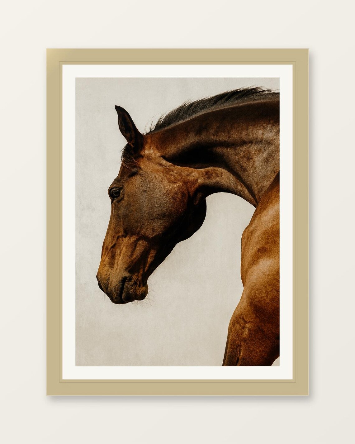 Chestnut Horse Portrait Equestrian Fine Art Photography Majestic Print