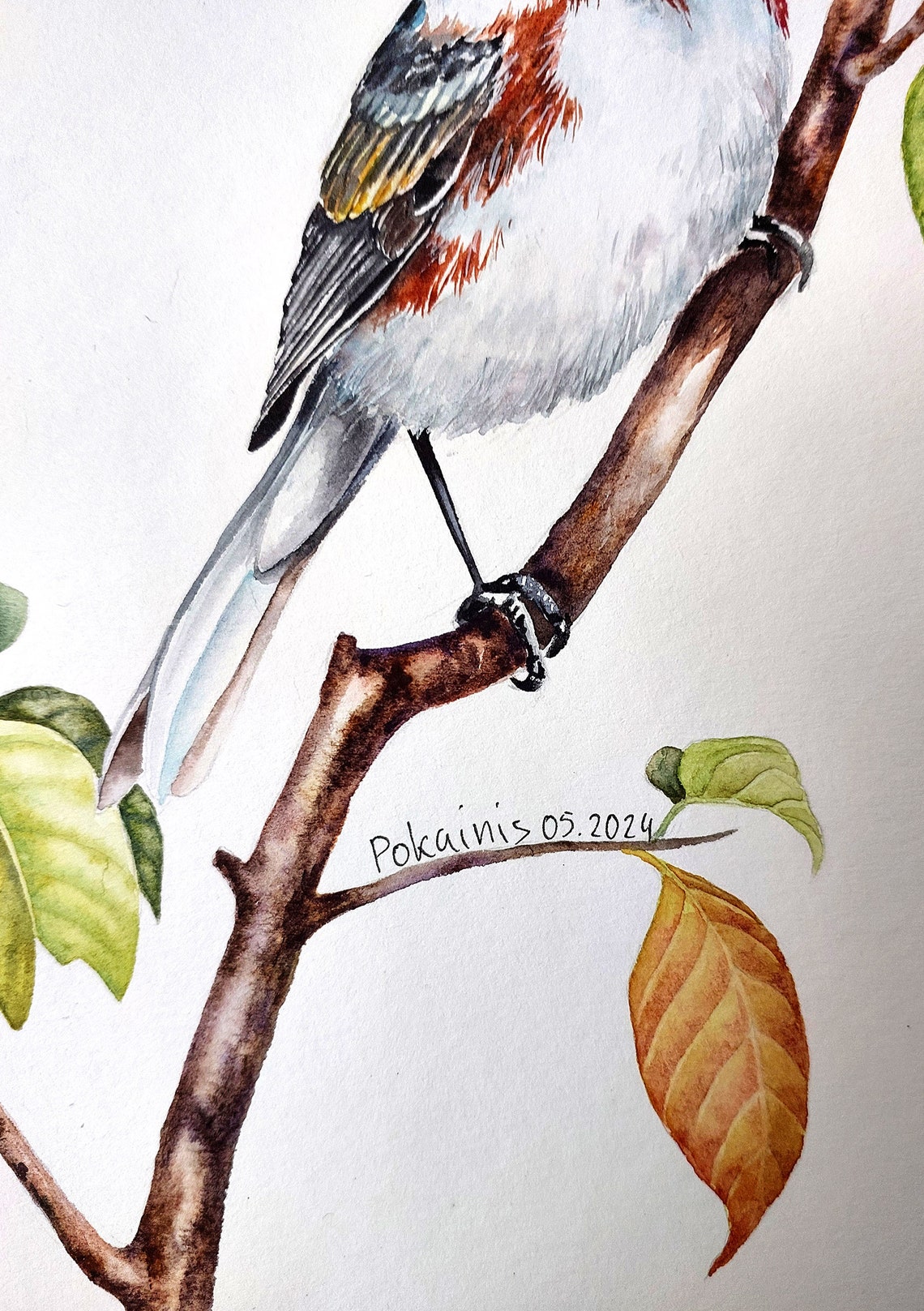 Yellow Crowned Songbird Watercolor Poster Perched On Autumn Branch - Image 3