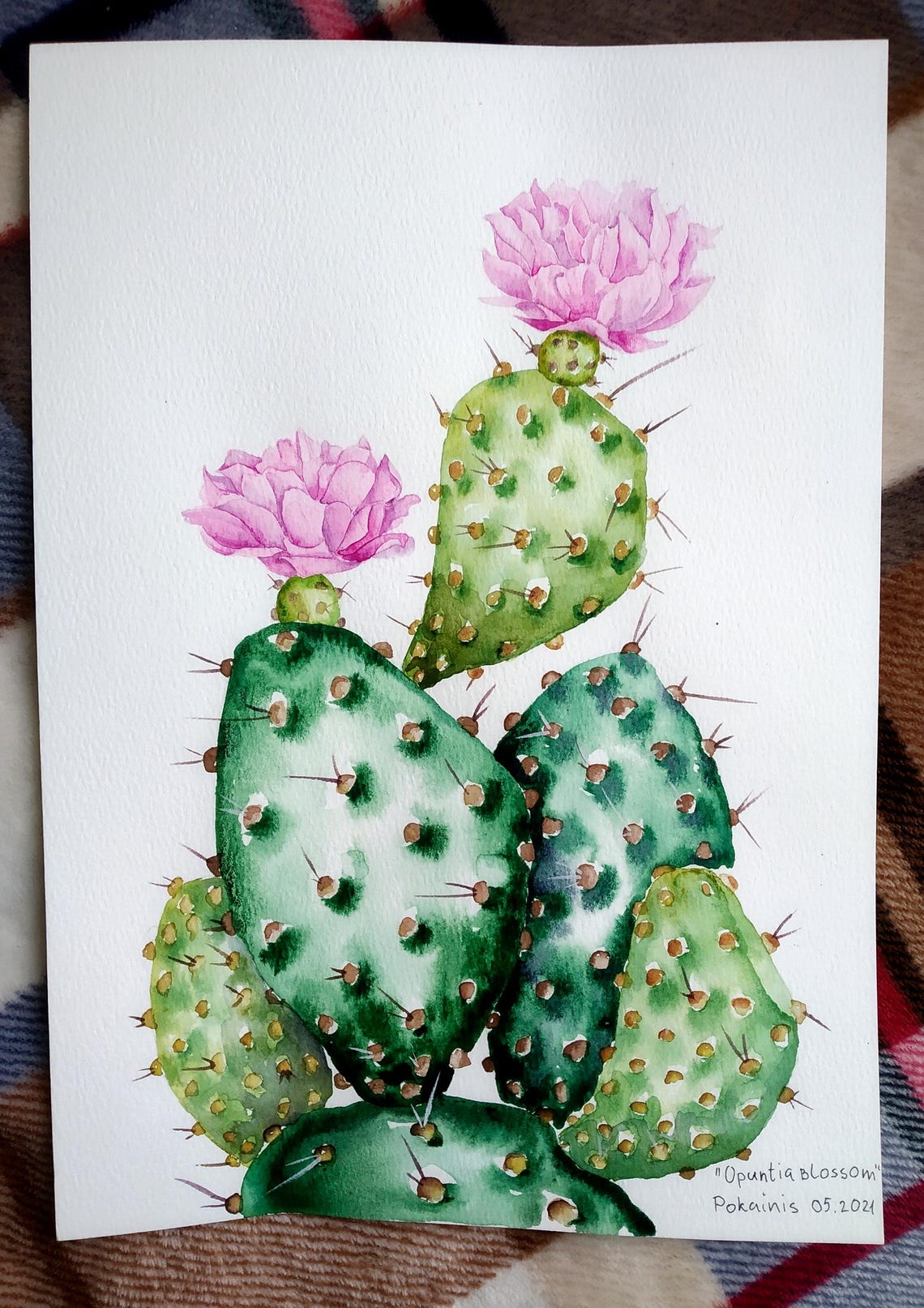 Opuntia Blossom Prickly Pear Cactus Pink Flowers Desert Poster - Image 5