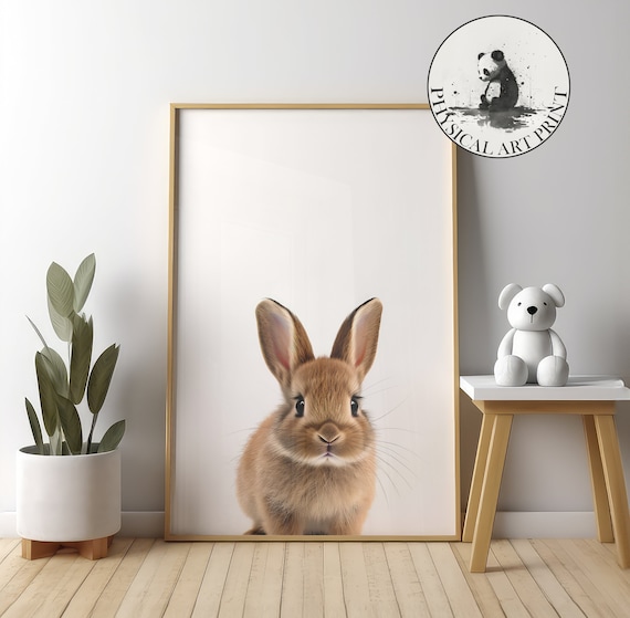Baby Bunny Photo Portrait Cute Rabbit Nursery Animal Art Poster