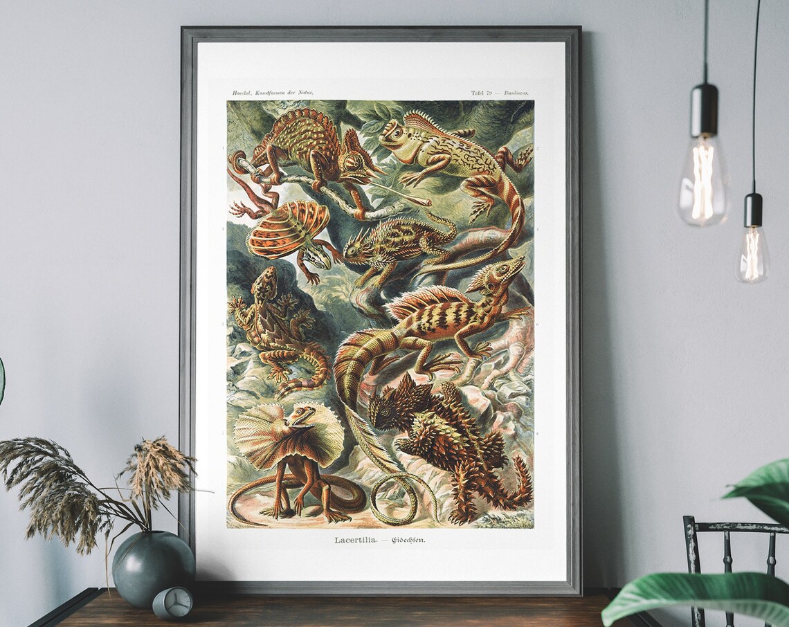 Vintage Haeckel Lizard Poster, Antique Nature Illustration