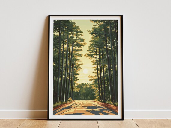 Sunset Pine Forest Road Golden Hour Light Woodland Trail Poster