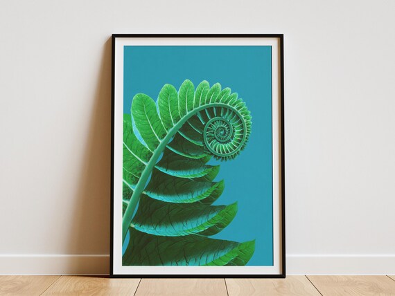Fern Spiral Art Print Hawaiian Botanical Macro Photography Nature Lover Gift Tropical Wall Decor Poster Green Leaves