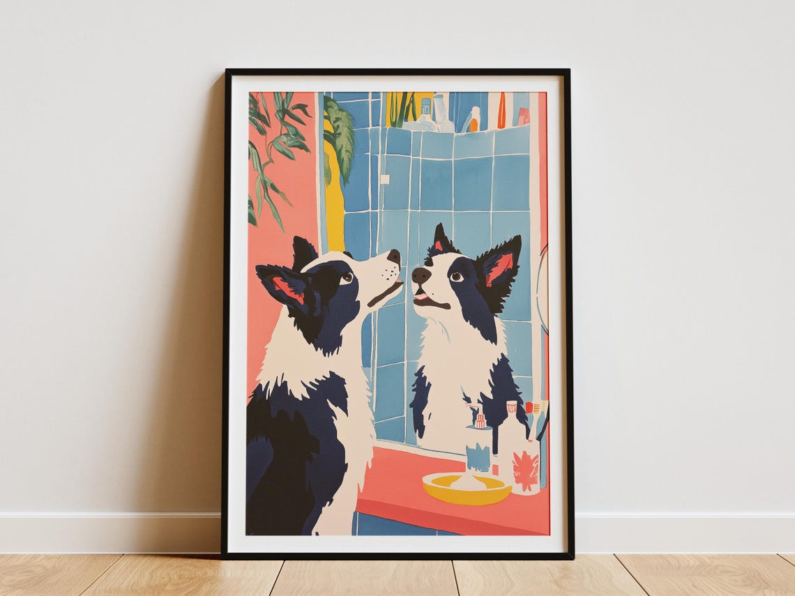 Border Collie Puppy Meeting Its Own Mirror Reflection Poster