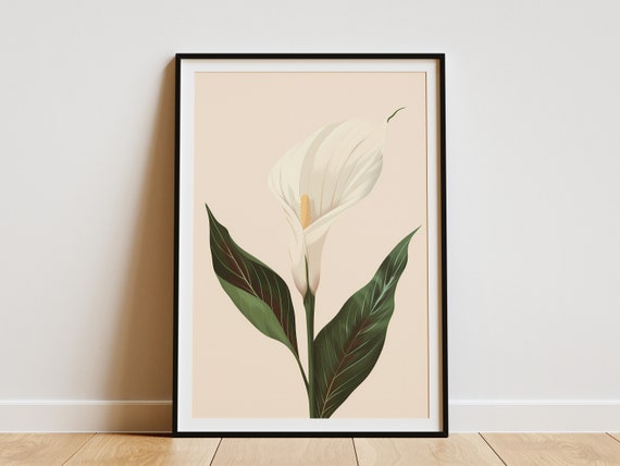 Peace Lily Poster, Minimalist Botanical Art Print