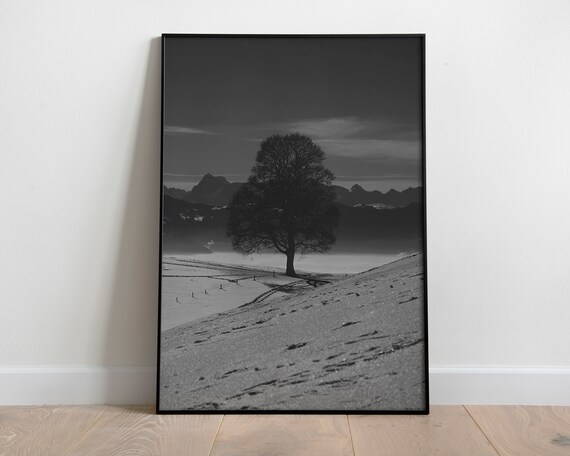 Dark Academia Wall Decorblack And White Photography Downloadmoody Printsvictorian Artmodern Apartment Retro 70sspooky