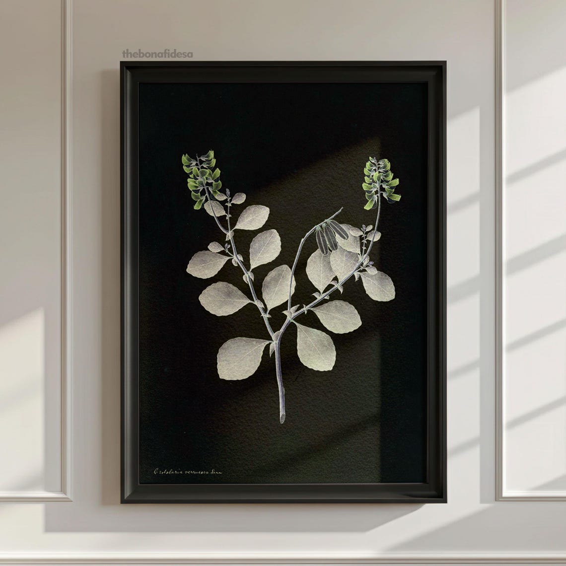 Vintage Botanical Art Print Moody Plant Wall Decor Dark Academia Poster
