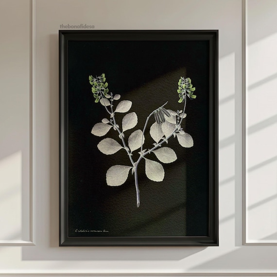 Vintage Botanical Branch Dark Background Moody Plant Art Wall Print