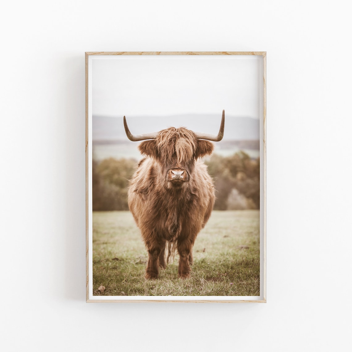 Highland Cow Modern Minimalist Art Print - Image 2