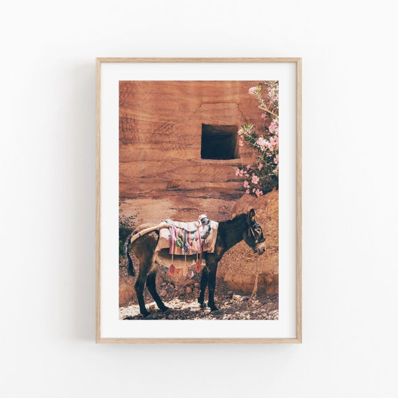 Donkey Bohemian Desert Animal Art Print, Safari Decor