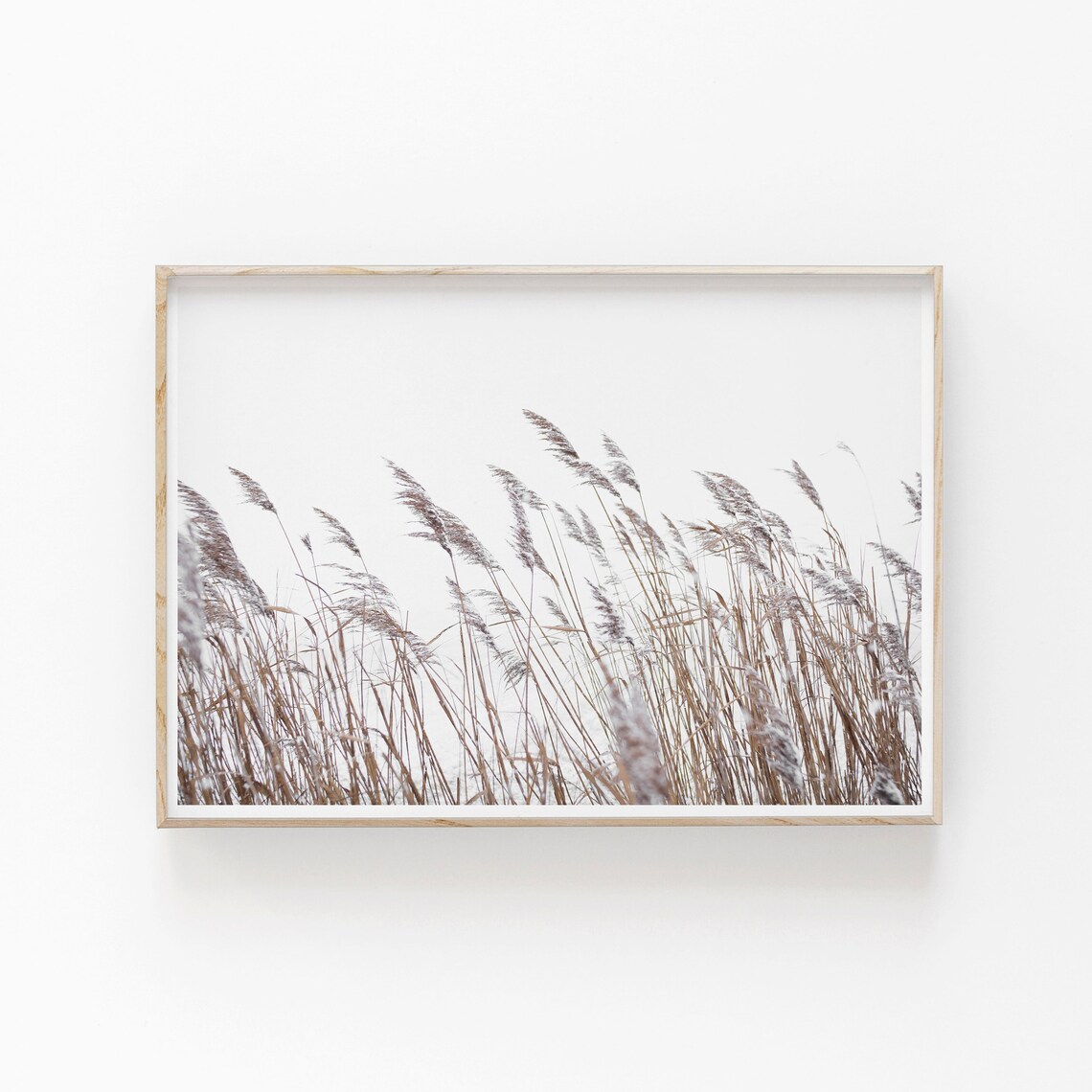 Botanical Wild Grass Modern Minimalist Art Print