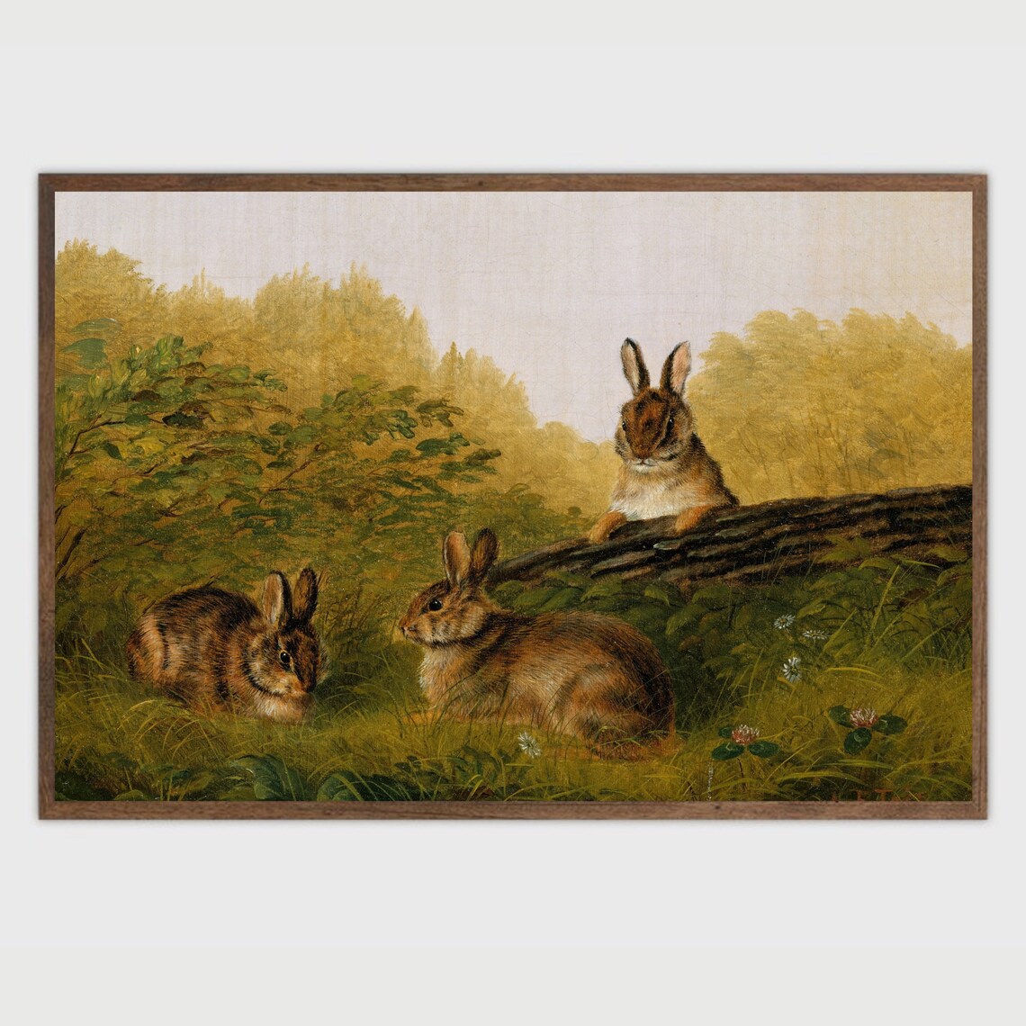Rabbit Vintage Art Print, Bunny Nursery Wall Art - Image 2