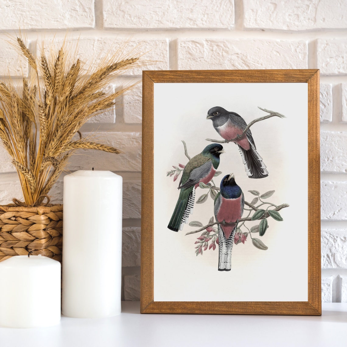 Vintage Bird Painting Bird On A Branch Nursery Art Antique Still Life Painting Country Farmhouse Print Art - Image 2