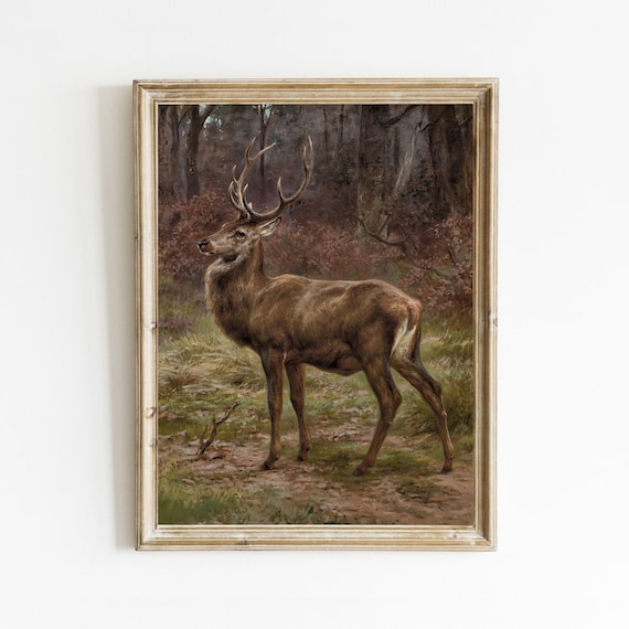 Majestic Red Deer Stag Standing In A Forest Vintage Animal Poster