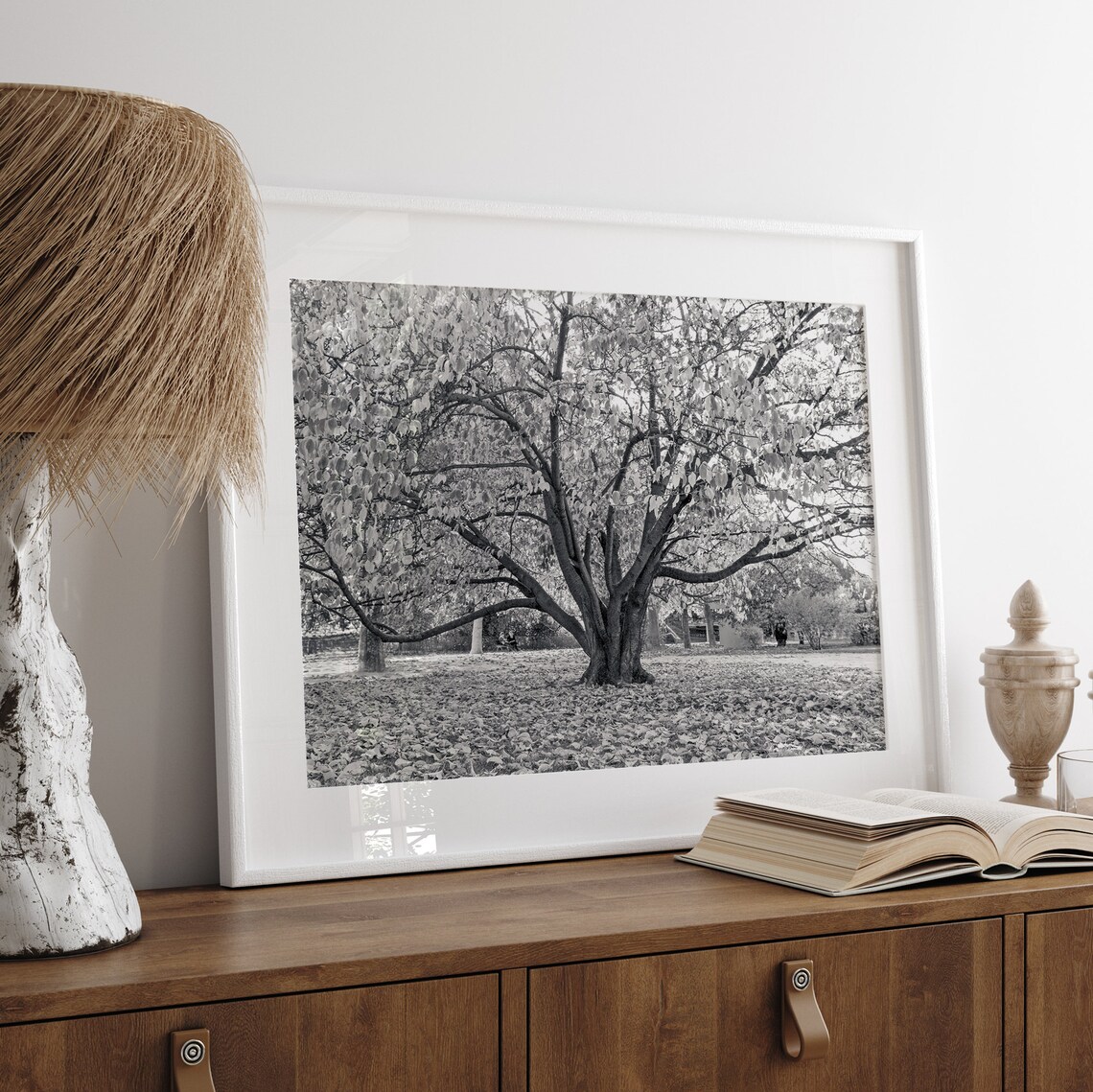 Black and White Tree Photography Art Print, Paris - Image 4