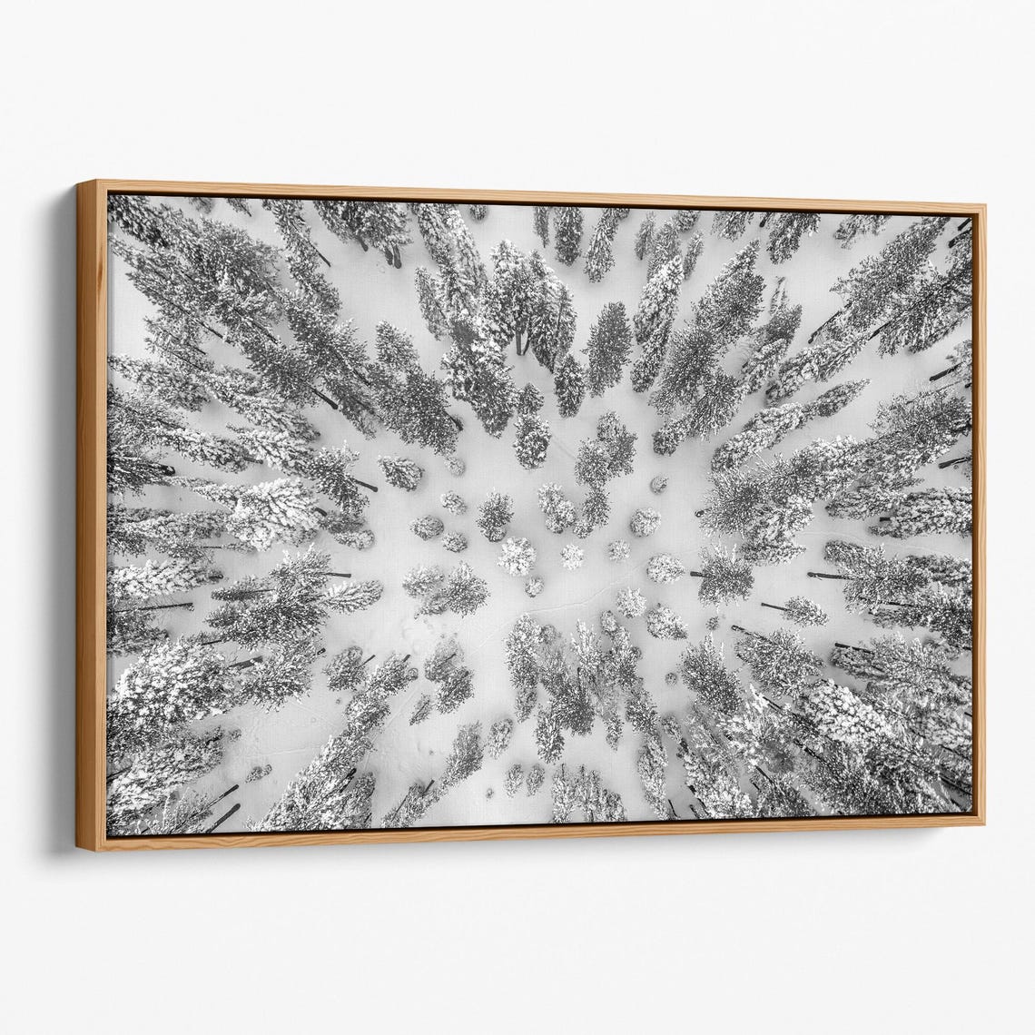 Aerial Snow Covered Pine Forest Winter Top Down Drone Nature Poster