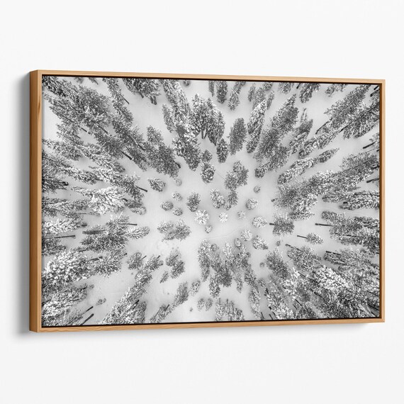 Large Snowy Forest Print Aerial Forest Wall Decor Framed Or Stretched Winter Wall Art Black And White Nature Print For Home Decor