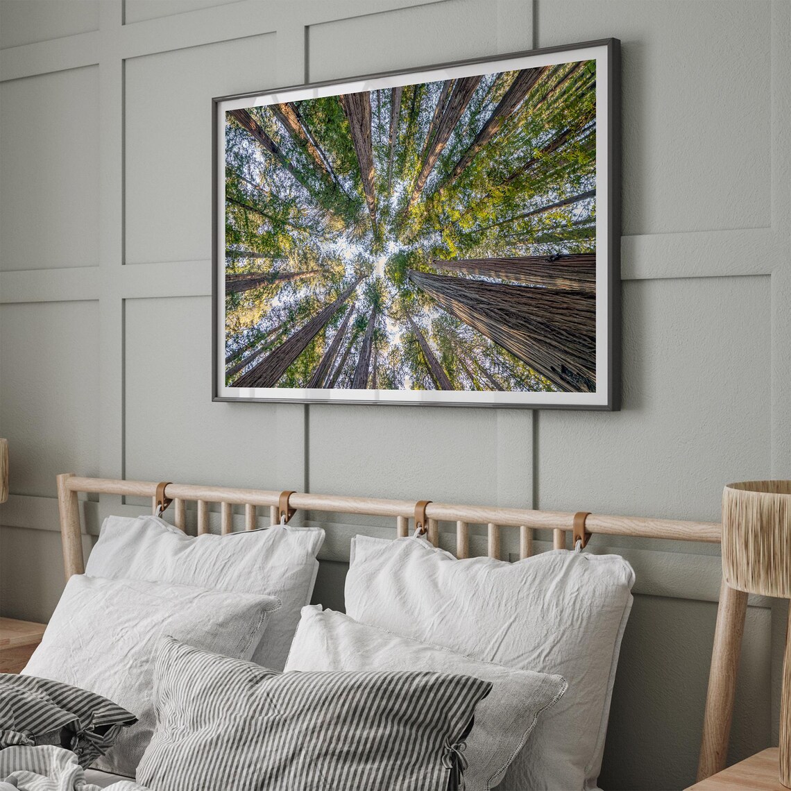 Redwoods Treetop Forest Landscape Art Print - Image 4