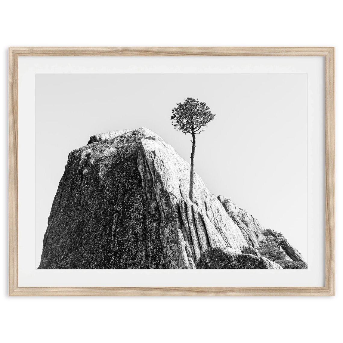 Lone Pine Tree Granite Cliff Black And White Minimal Mountain Poster