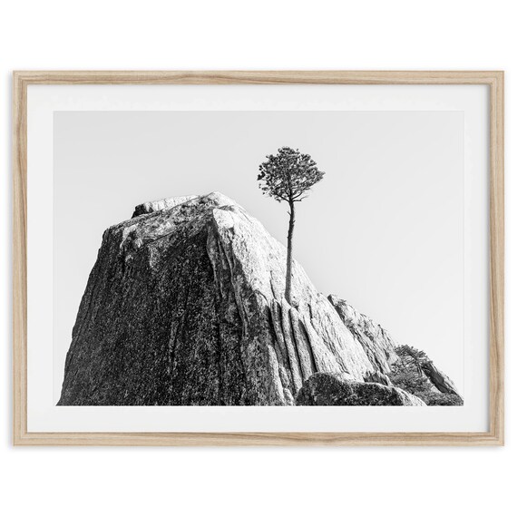 Mountain Tree Fine Art Photography Print Minimalist Black And White Wall Art Framed Or Unframed Minimalist Nature Poster For Home Decor