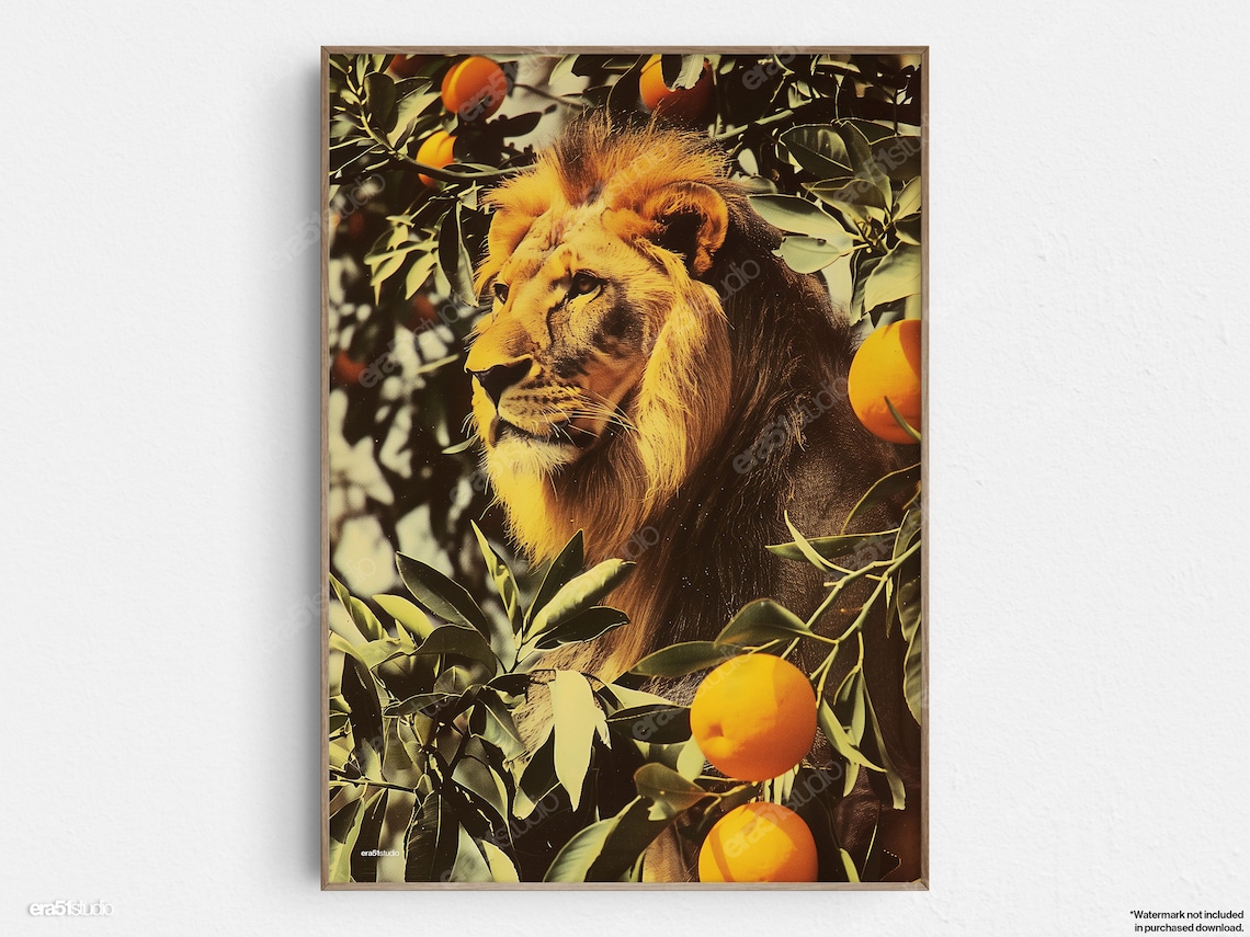 Lion Among Orange Citrus Branches Vintage Golden Wildlife Art Print