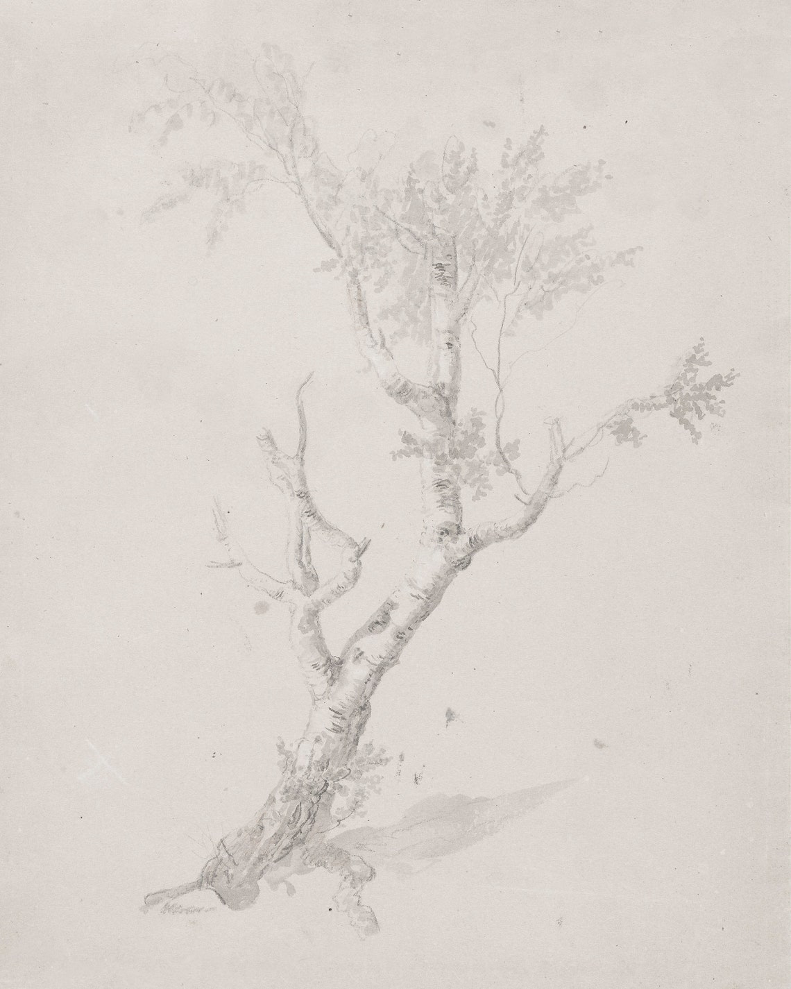 Tree Sketch Wall Art Vintage Nature Painting Neutral Farmhouse Art - Image 3