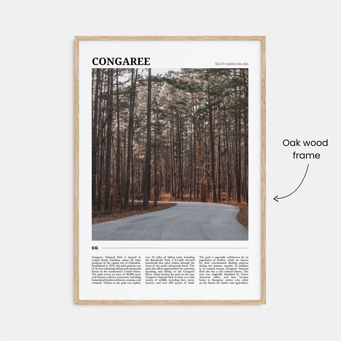Congaree National Park South Carolina Forest Trail Nature Travel Poster - Image 3